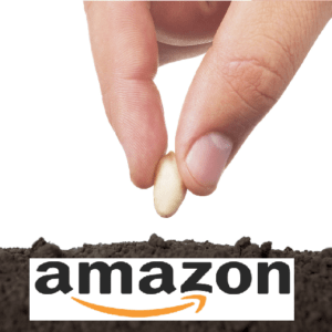 Web semilla Amazon automática