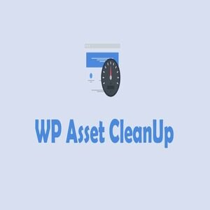 wp asset cleanup Pro